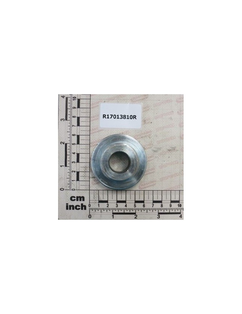 Maschio Gaspardo BUCSA D60 D40 D21 L25 ZN R17013810R