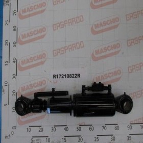 Maschio Gaspardo CILINDRU L740 C150 D110 S55 R17210822R