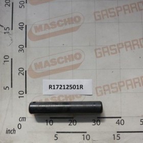 Maschio Gaspardo BOLT D50 L288 39NICRMO3 NIPRE R17212501R