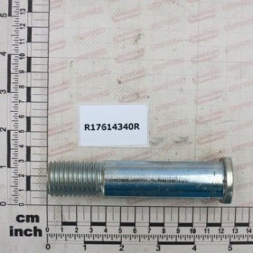 Maschio Gaspardo BOLT FILET. D25 L118 C40 ZN R17614340R