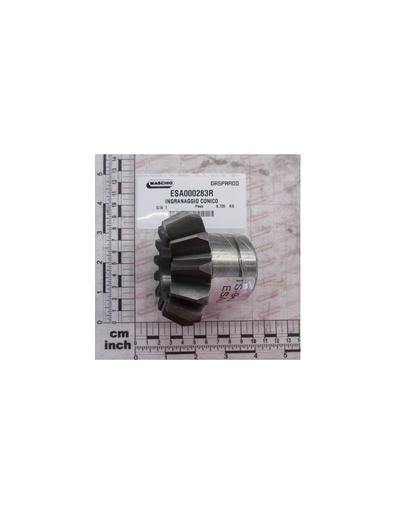 BEVEL GEAR