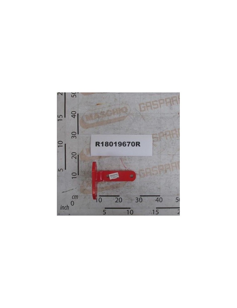 Maschio Gaspardo PLACA INDOITA SUPORT LUMINI R18019670R