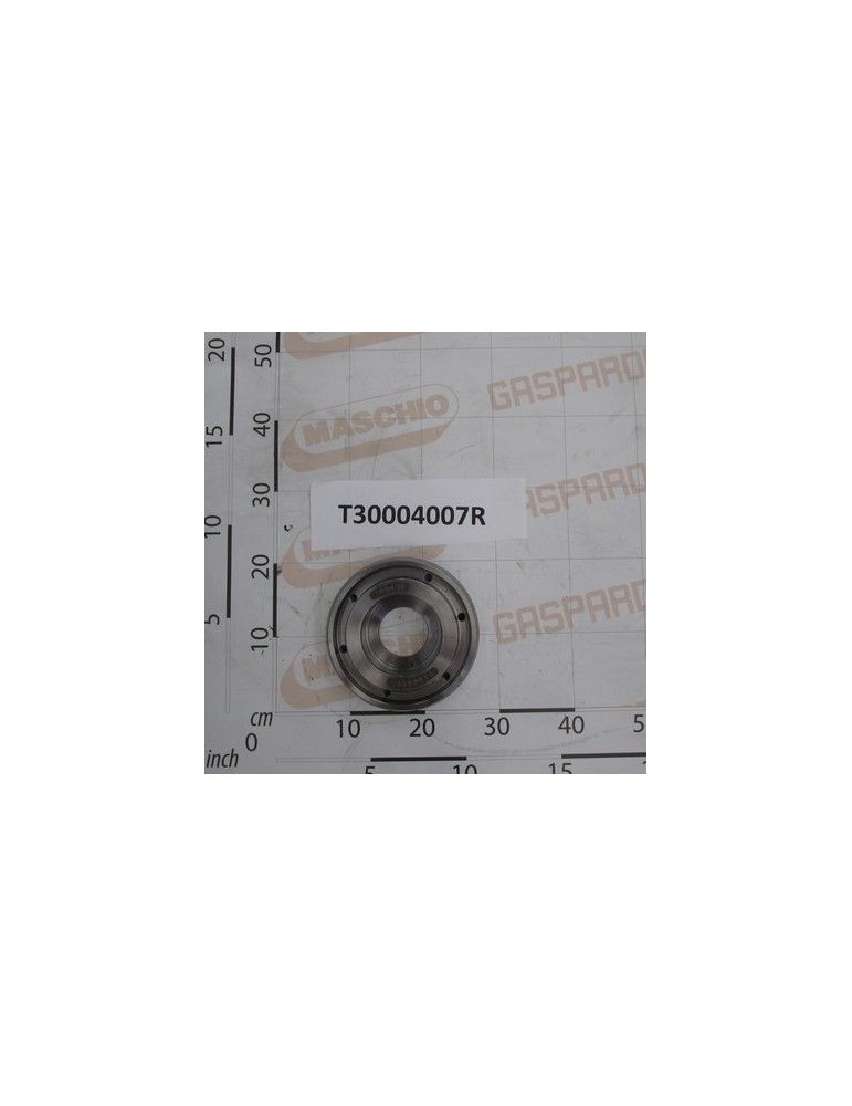 Maschio Gaspardo Suport Rotor T30004007R