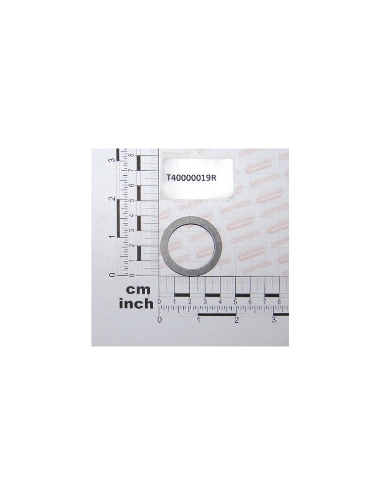 Maschio Gaspardo D.30,3X39,8X2,5 T40000019R
