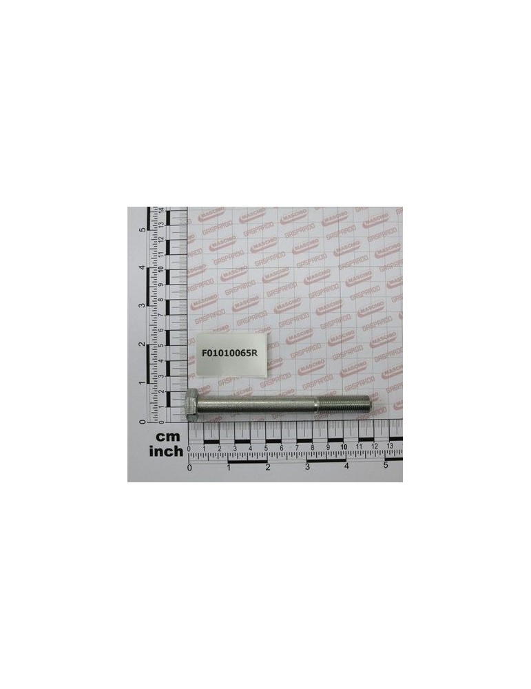 Maschio Gaspardo SURUB M12X1,25X110 5738 8.8 ZB F01010065R