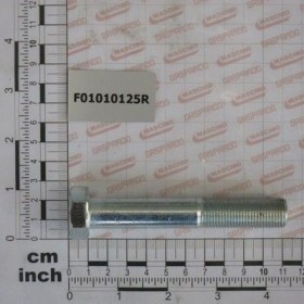 Maschio Gaspardo SURUB M16X1,5 X100 U5738 8.8 F01010125R