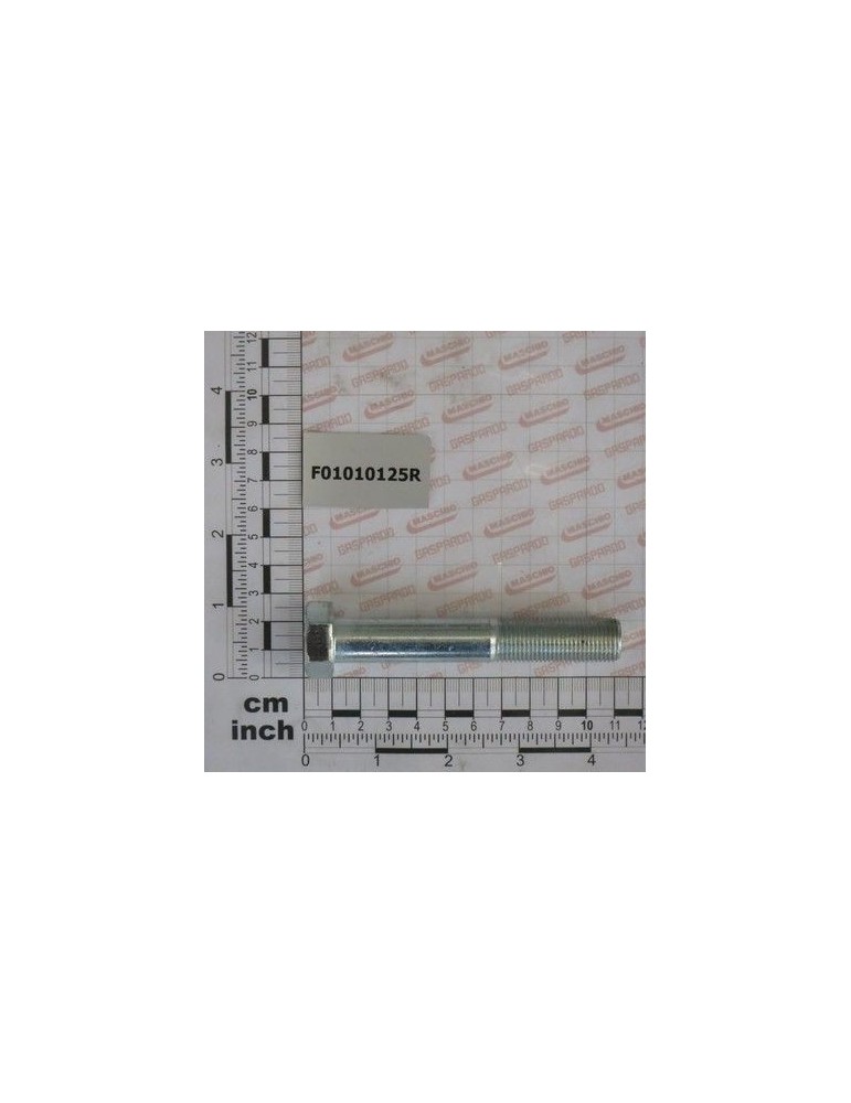 Maschio Gaspardo SURUB M16X1,5 X100 U5738 8.8 F01010125R