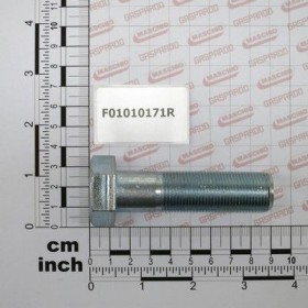 Maschio Gaspardo SURUB M20X1,5X 75 U5738 8.8ZN F01010171R