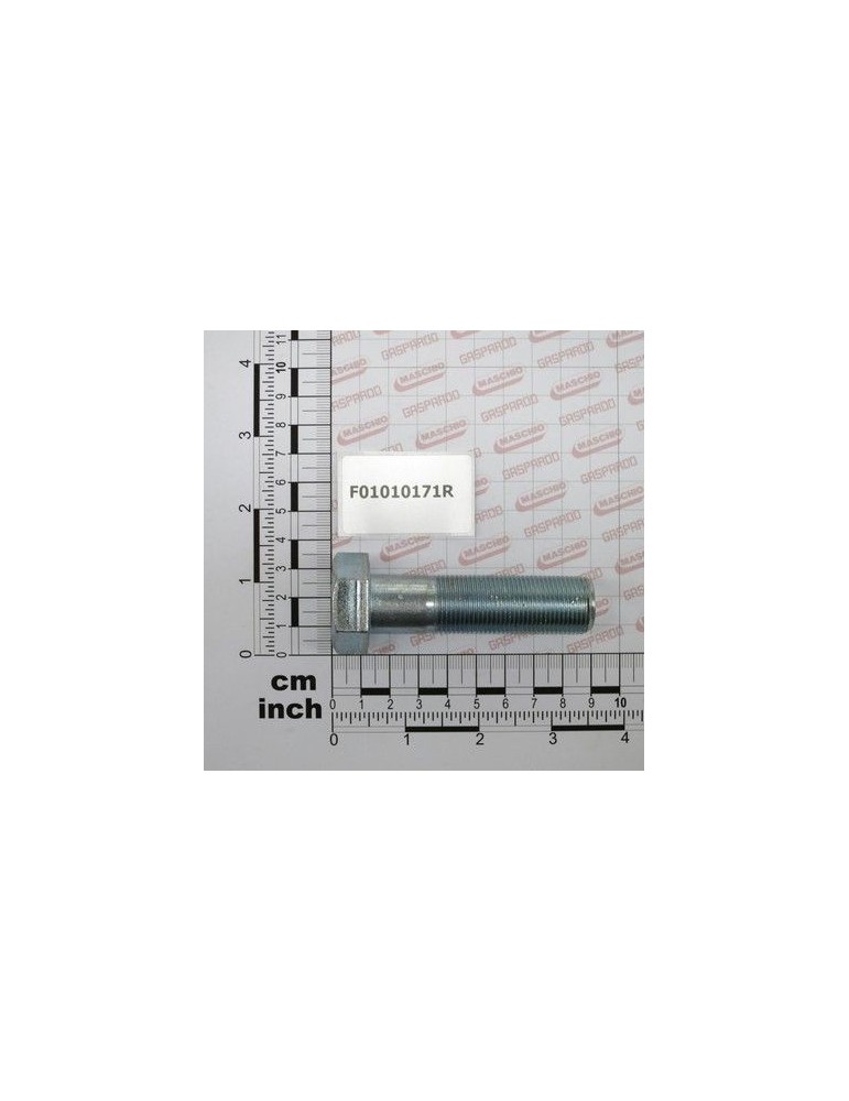 Maschio Gaspardo SURUB M20X1,5X 75 U5738 8.8ZN F01010171R