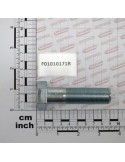 Maschio Gaspardo SURUB M20X1,5X 75 U5738 8.8ZN F01010171R