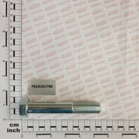 Maschio Gaspardo SURUB M20X1,5X120 U5738 ZN F01010175R