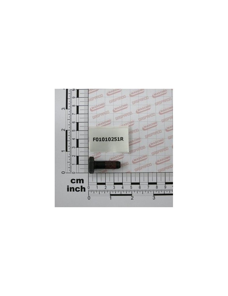 Maschio Gaspardo SURUB M10X1,25X30 U5740 10.9 F01010251R