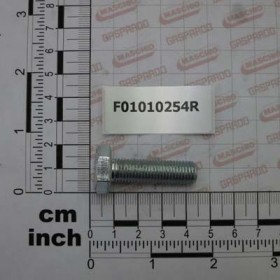 Maschio Gaspardo SURUB M10X1,25X 35 5740 8.8 ZB F01010254R