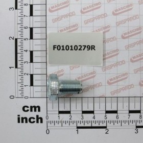 Maschio Gaspardo Surub M12x1.25x20 F01010279R