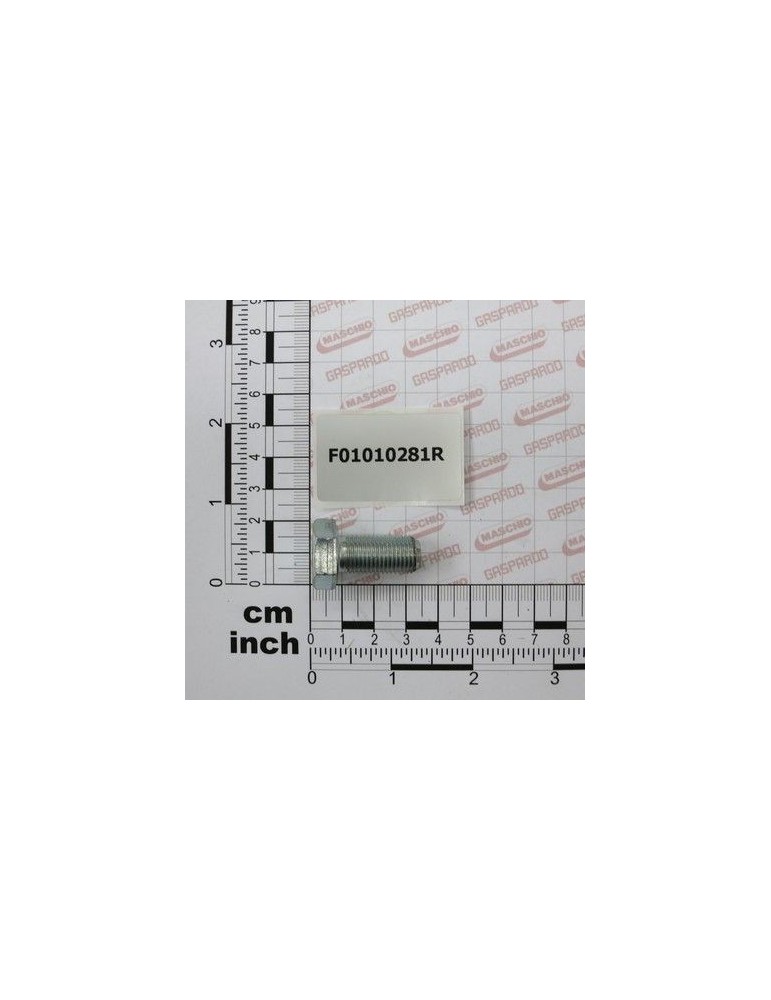 Maschio Gaspardo VITE M12X1,25X25 U5740 8.8 ZB F01010281R