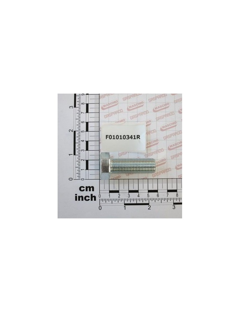 Maschio Gaspardo SUR. M16X1,5 X45 U5740 8.8 ZN F01010341R