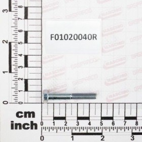 Maschio Gaspardo SURUB M6X 1X 40 U5737 8.8 ZN F01020040R