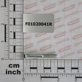 Maschio Gaspardo SURUB M6X 1X 45 U5737 8.8 ZN F01020041R