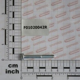 Maschio Gaspardo Surub M6x1x50 F01020042R
