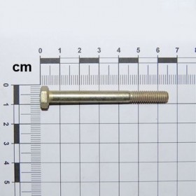 Maschio Gaspardo SURUB M6X1X60 U5737 8.8 ZN F01020043R