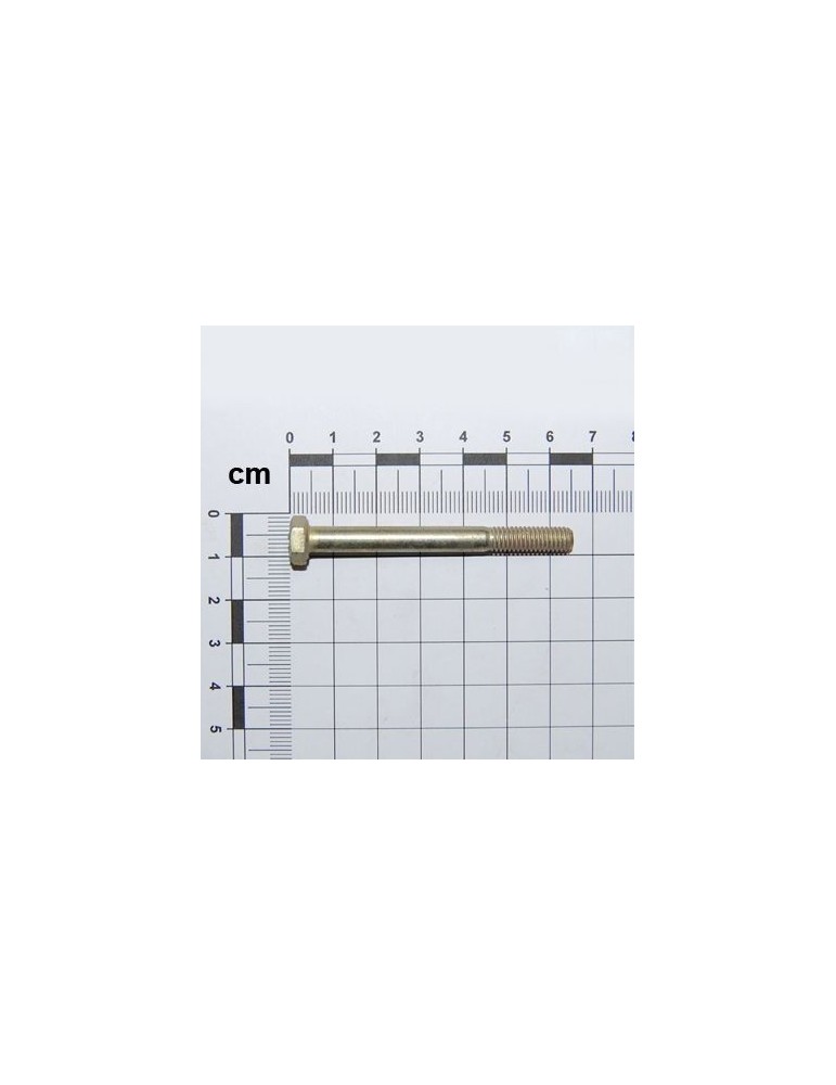 Maschio Gaspardo SURUB M6X1X60 U5737 8.8 ZN F01020043R