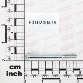 Maschio Gaspardo SURUB M6X 1X70 U5737 8.8 ZN F01020047R