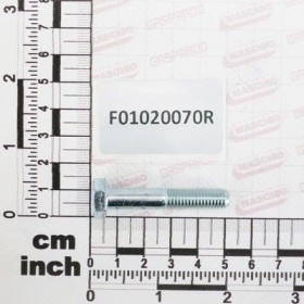 Maschio Gaspardo SUR. M 8X1,25X 45 U5737 8.8ZN F01020070R