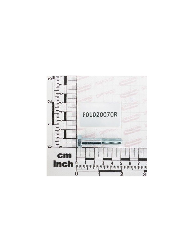 Maschio Gaspardo SUR. M 8X1,25X 45 U5737 8.8ZN F01020070R