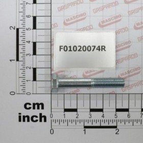 Maschio Gaspardo SURUB TE.10K.M8X50 UNI 5737 F01020074R