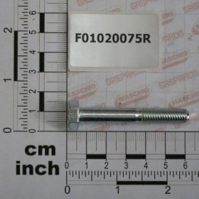 Maschio Gaspardo SURUB M8X1,25X 55 U5737 8.8ZN F01020075R