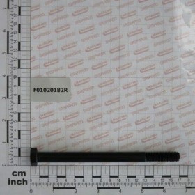 Maschio Gaspardo SURUB 12X160 5737 8.G F01020182R