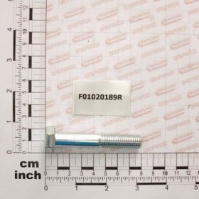 Maschio Gaspardo VITE M12X1,75X70 U5737 10.9ZD F01020189R