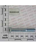 Maschio Gaspardo SURUB M14X2X100 U5737 8.8ZN F01020214R