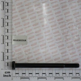 Maschio Gaspardo SURUB 14 X190 5737 8.G F01020231R