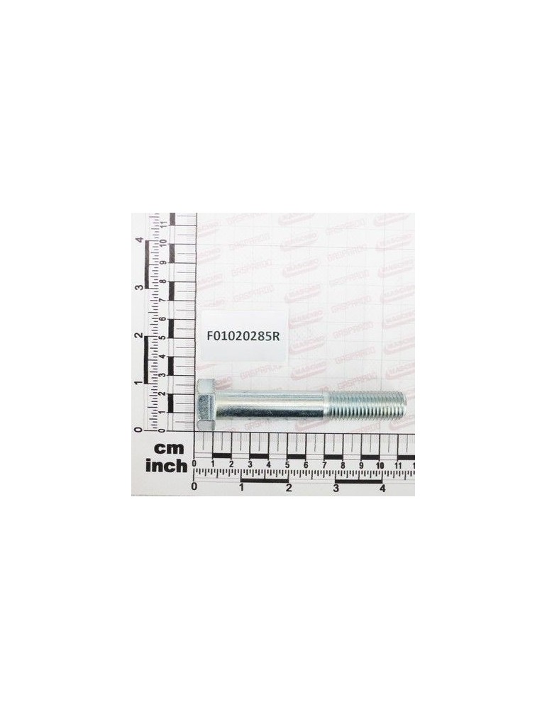 Maschio Gaspardo SURUB M16X2X100 U5737 8.8 ZN F01020285R