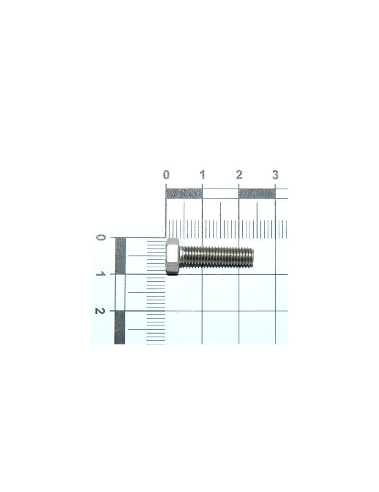 Maschio Gaspardo SURUB M5X 0.8X20 U5739 A2 IX F01020381R