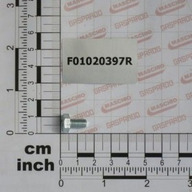 Maschio Gaspardo SURUB M 6X 1X 10 U5739 8.8 ZN F01020397R