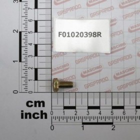 Maschio Gaspardo SURUB M 6X 1X 12 U5739 8.8 ZN F01020398R