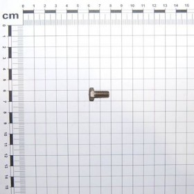 Maschio Gaspardo SURUB M6X14 U5739 A2 IX F01020418R