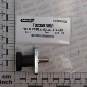 PISTON POSITIONING WITH FLANGE