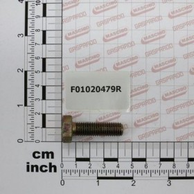 Maschio Gaspardo Surub M10x1.5x35 F01020479R