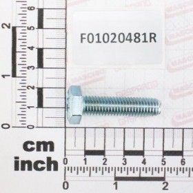 Maschio Gaspardo VITE M10X1,5X40 U5739 8.8ZN F01020481R