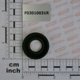 SEALING RING 20X42X10