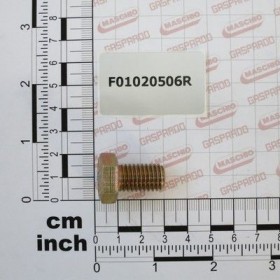 Maschio Gaspardo SURUB M12X1,75X20 U5739 8.8 ZB F01020506R