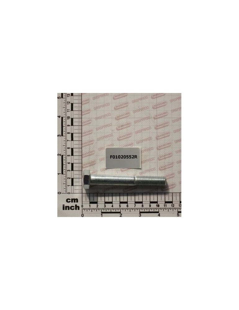 Maschio Gaspardo VITE M14X2X100 U5737 10.9ZD F01020552R