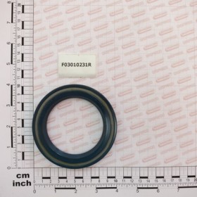 OIL SEAL 70X100X10