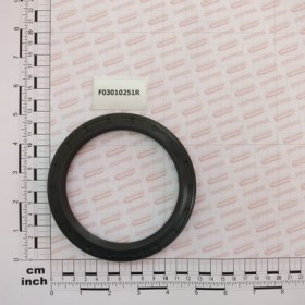 OIL SEAL 100X125X10