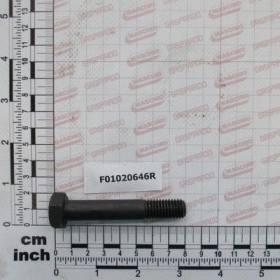 Maschio Gaspardo SUR.M12X2X70 U5737 12.9 F01020646R