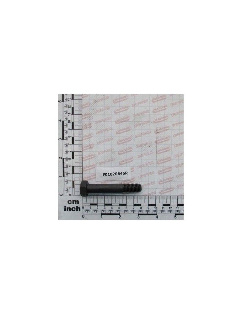 Maschio Gaspardo SUR.M12X2X70 U5737 12.9 F01020646R