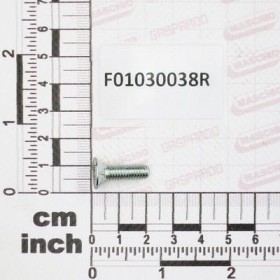 Maschio Gaspardo SURUB M6X1X20 U5933 10.9ZD F01030038R
